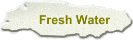 Fresh Water
